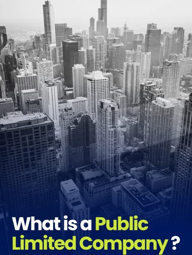 What is a public limited company